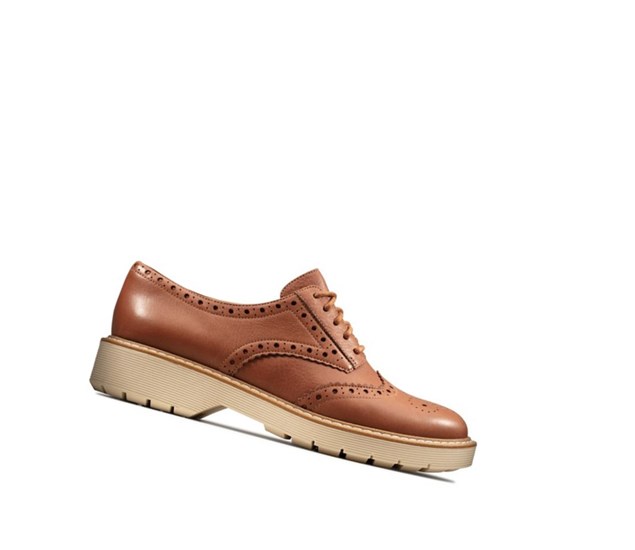 Buty do Chodzenia Clarks Witcombe Echo Skórzane Damskie Brązowe | FRJNKD678