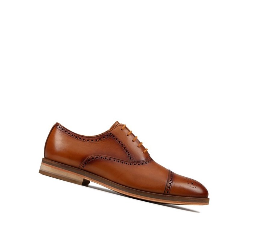 Buty Brogue Clarks Oliver Limit Skórzane Męskie Brązowe | YMSJHN049