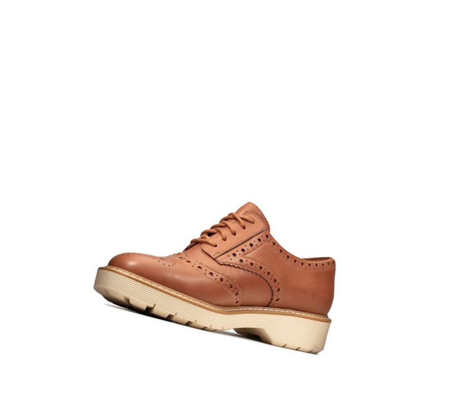 Buty Płaskie Clarks Witcombe Echo Skórzane Damskie Brązowe | LRFNPX952