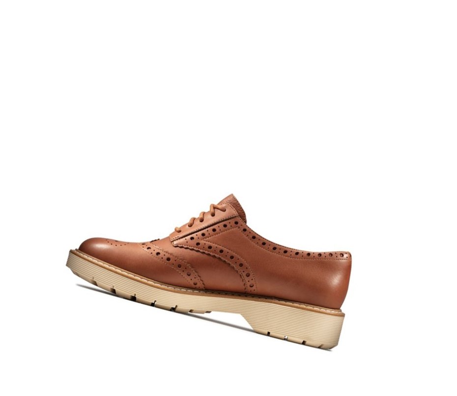 Buty do Chodzenia Clarks Witcombe Echo Skórzane Damskie Brązowe | FRJNKD678