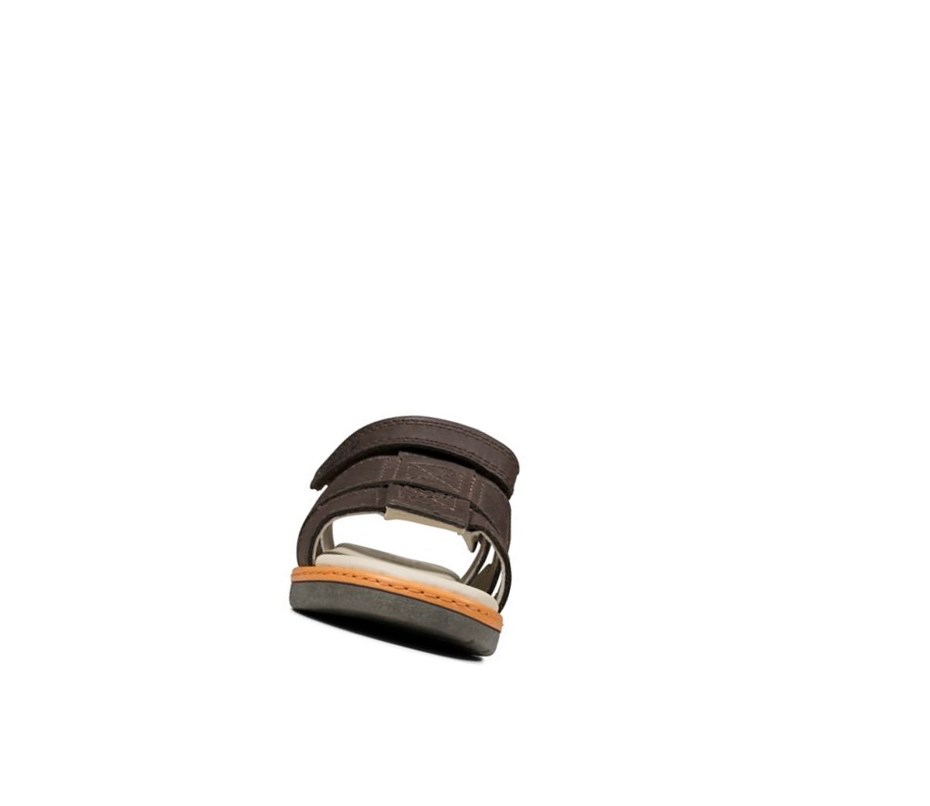 Sandały Casual Clarks Frances Tor Skórzane Chłopięce Brązowe | PXOBGU160