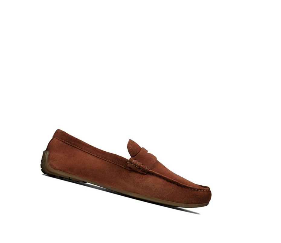 Slip On & Loafersy Clarks Reazor Penny Zamszowe Męskie Brązowe | ULIAKD357