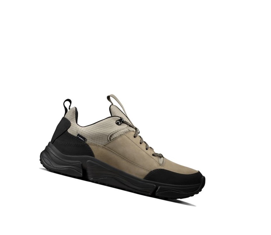 Trampki Clarks Tri Path Walk Tekstylne Męskie Oliwkowe | RDBIEX672