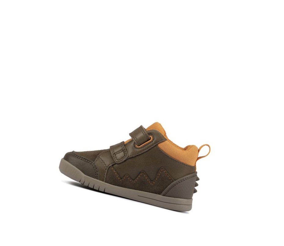 Trzewiki Clarks Rex Park Skórzane Chłopięce Khaki | XCFLIZ097