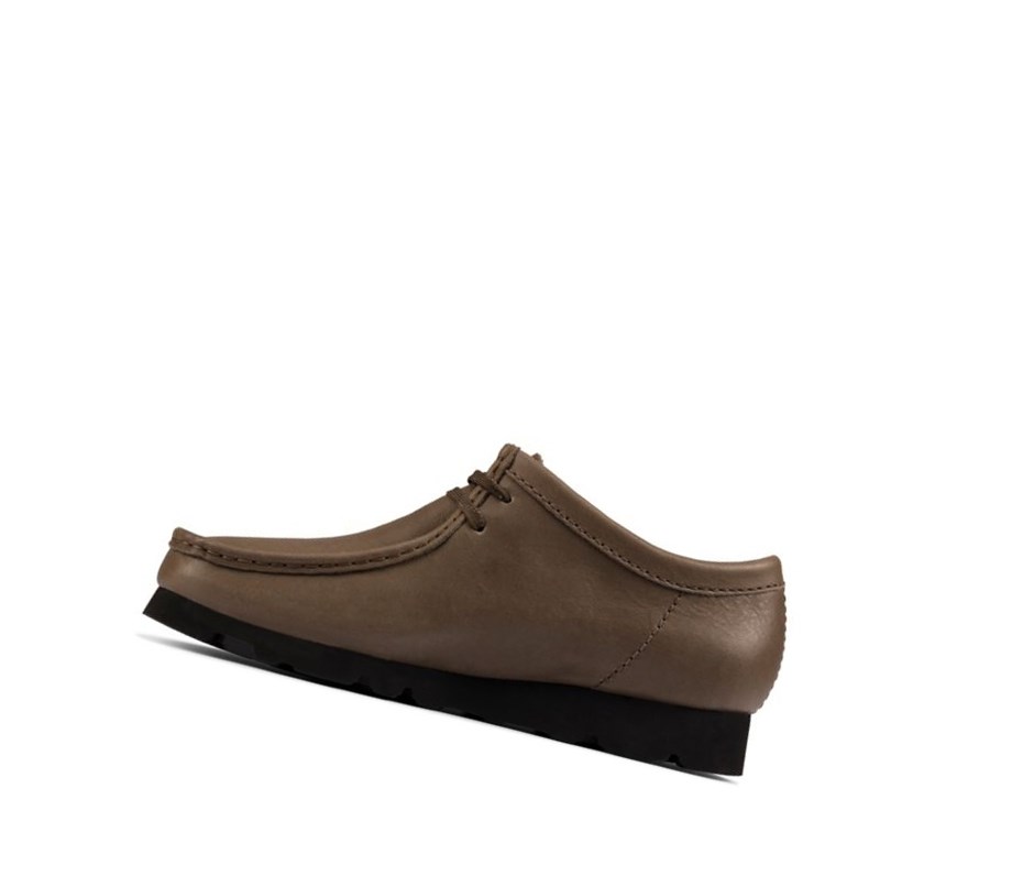 Wallabee Clarks Gore-tex Skórzane Męskie Oliwkowe | DKHXVU851