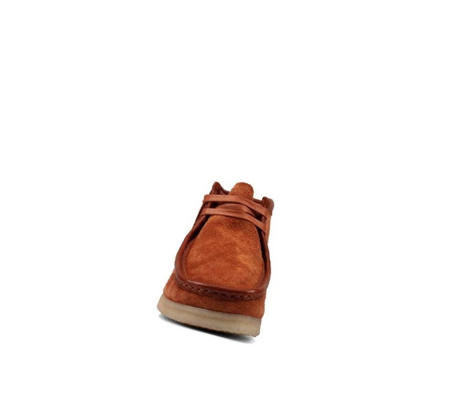 Wallabee Clarks Oryginalne Hairy Zamszowe Męskie Brązowe | GOSNXI612